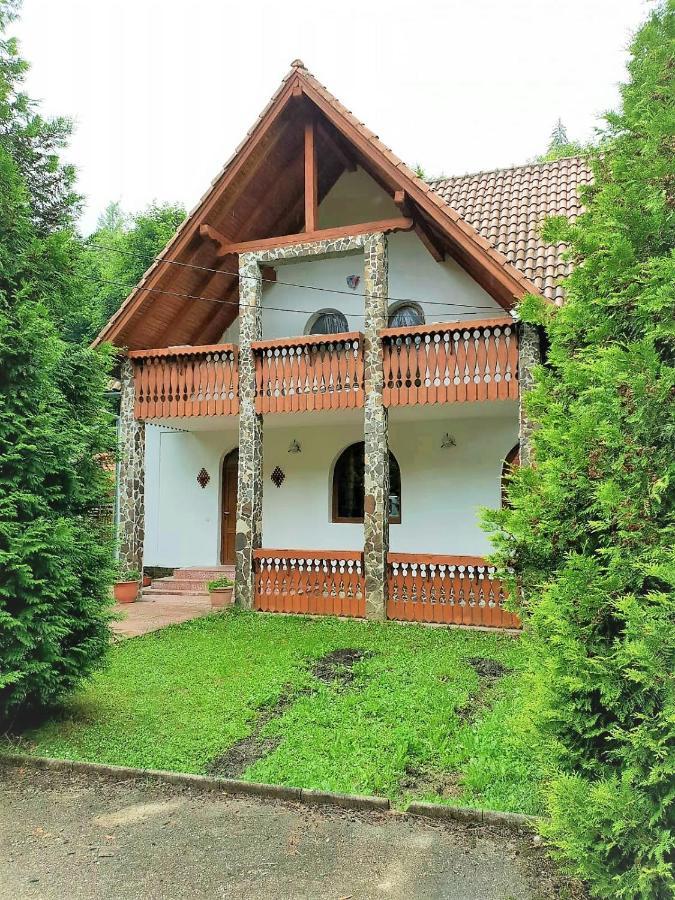 Vila Luca'S Кырцишоара Экстерьер фото